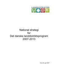 National strategi for det danske landdistriktsprogram 2007-2013