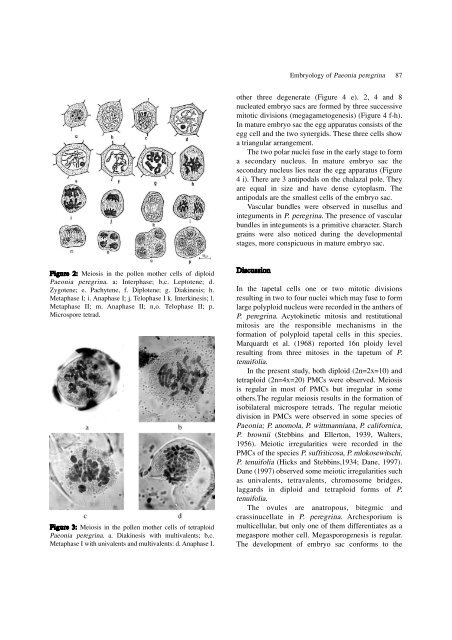 Cytoembryological studies on Paeonia peregrina L. - Journal of Cell ...