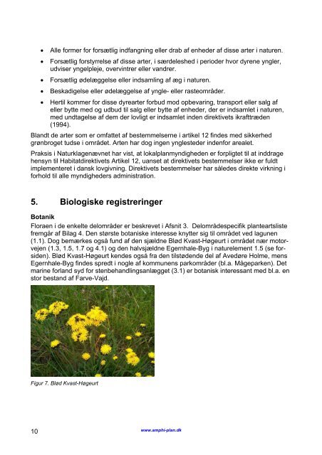 Naturplan for Råhavnen - Hvidovre Kommune