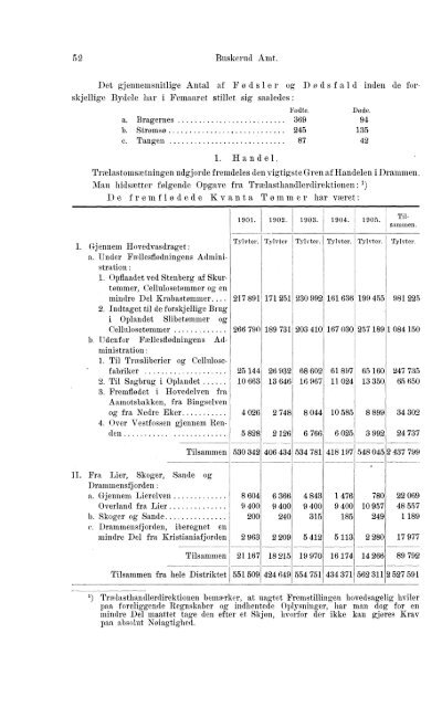 Beretninger om Amternes Økonomiske Tilstand 1901-1905. Bind I