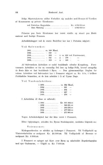 Beretninger om Amternes Økonomiske Tilstand 1901-1905. Bind I