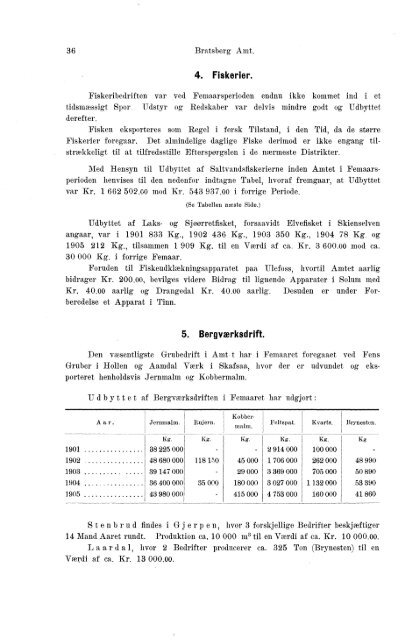 Beretninger om Amternes Økonomiske Tilstand 1901-1905. Bind I