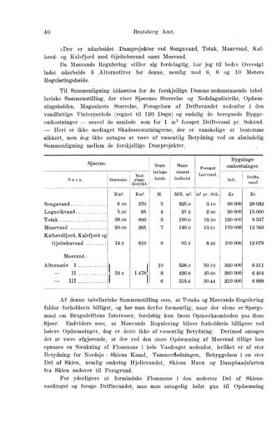 Beretninger om Amternes Økonomiske Tilstand 1901-1905. Bind I