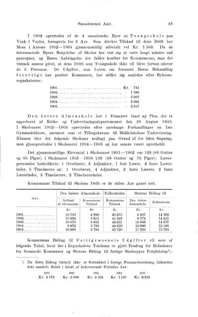 Beretninger om Amternes Økonomiske Tilstand 1901-1905. Bind I