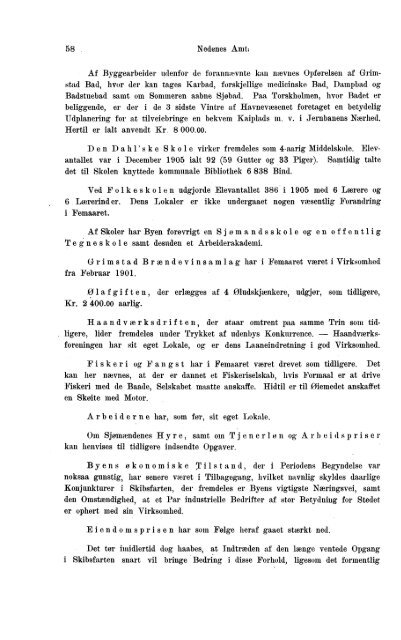 Beretninger om Amternes Økonomiske Tilstand 1901-1905. Bind I