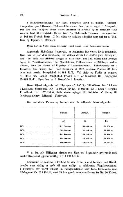 Beretninger om Amternes Økonomiske Tilstand 1901-1905. Bind I