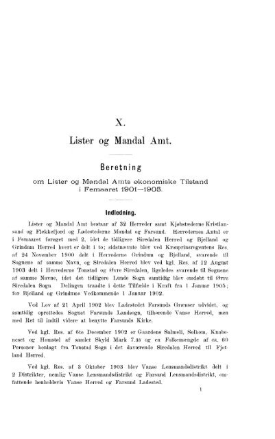 Beretninger om Amternes Økonomiske Tilstand 1901-1905. Bind I