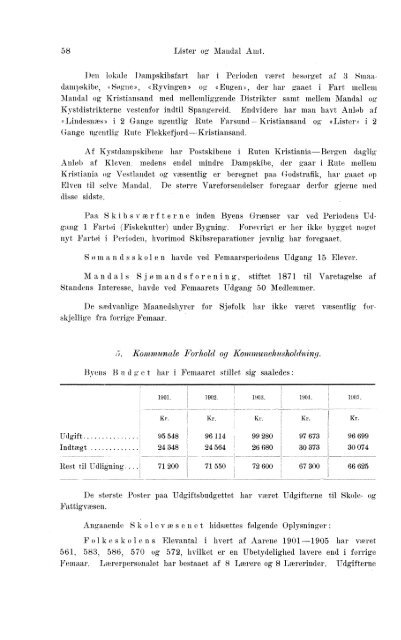 Beretninger om Amternes Økonomiske Tilstand 1901-1905. Bind I