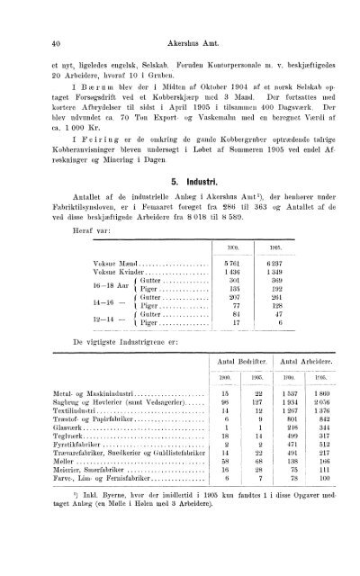 Beretninger om Amternes Økonomiske Tilstand 1901-1905. Bind I