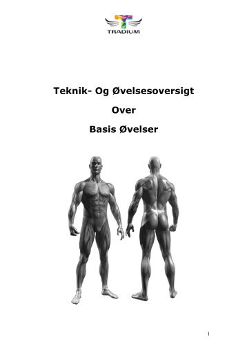 Teknik- Og Øvelsesoversigt Over Basis Øvelser