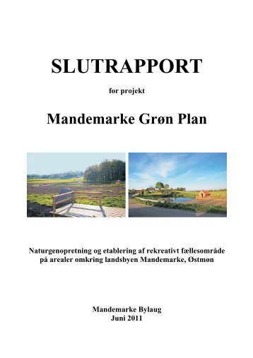 slutrapport - Mandemarke.dk