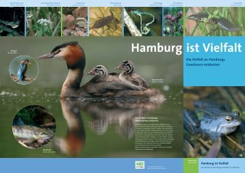 Die Vielfalt in Hamburgs Lebensräumen entdecken - ANU Hamburg