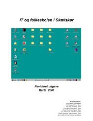 IT og folkeskolen i Skælskør - Skælskør Skole