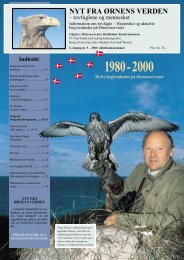 Nyt fra ørnens verden 2001-2002 kan også hentes i ... - Ørnereservatet