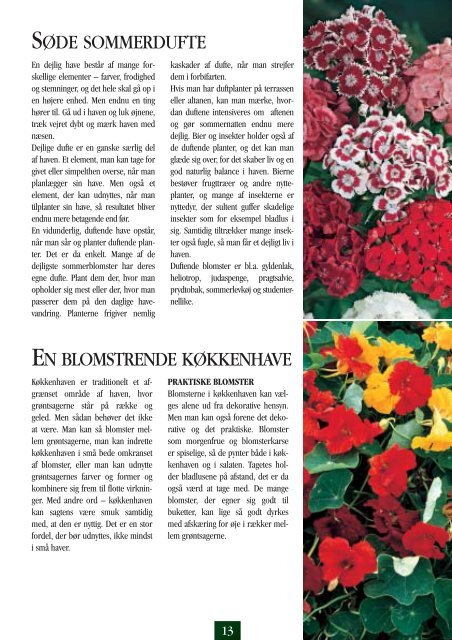 Blomsterfrø 03 DK Internet.pdf