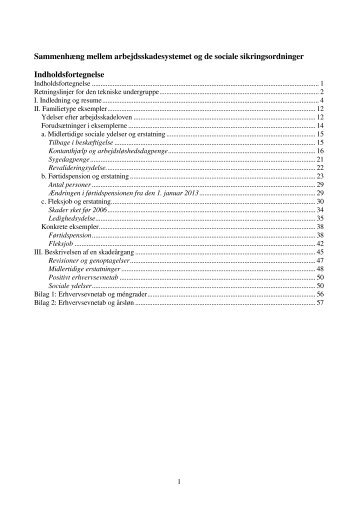 Sammenhæng mellem arbejdsskadesystemet og de sociale ...