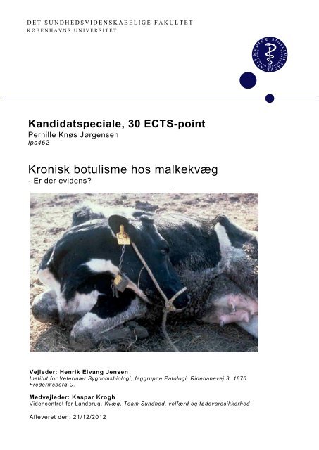 Kronisk botulisme hos malkekvæg - Erri-Comfort & Danish Genetics