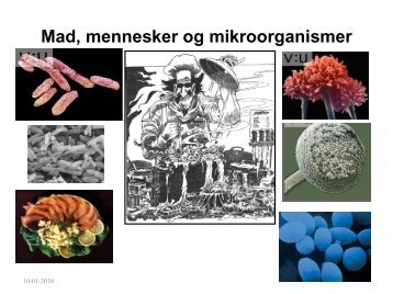 Mad, mennesker og mikroorganismer - Kvaksalver