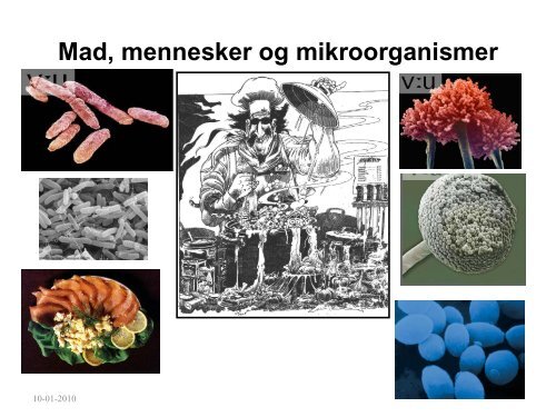 Mad, mennesker og mikroorganismer - Kvaksalver