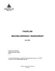 Bachelor i Radiografi, kull 2005 høst