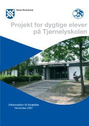 Projekt for dygtige elever nov 2007 - Tjørnelyskolen