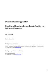 Dokumentationsrapport for Kandidatuddannelsen i ... - ACE Denmark