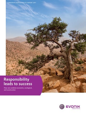 Responsibility leads to success - Evonik Industries