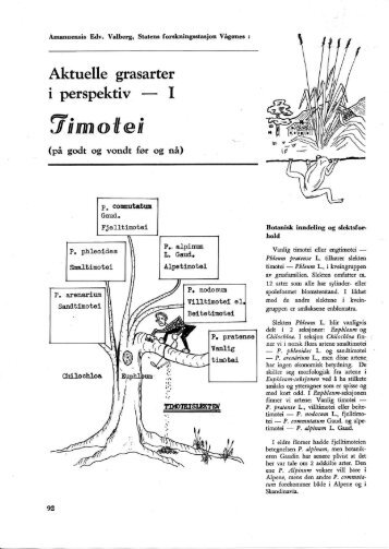 Timotei - Nord-salten.no