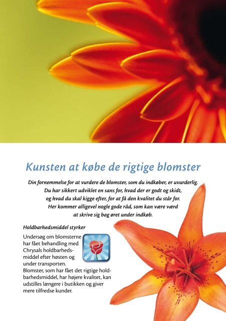 Bliv blomsterhandler med diplom fra Chrysal Vind en rejse til ...
