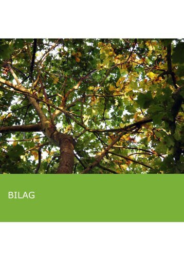 BILAG