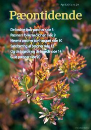 Se et eksempel på vores medlemsblad her. - Dansk Pæon Selskab