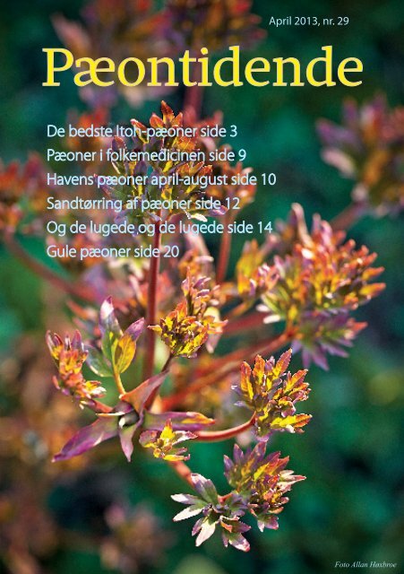 Se et eksempel på vores medlemsblad her. - Dansk Pæon Selskab