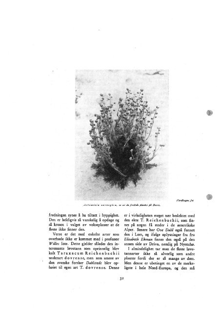 Dokumenter/rapporter/Årsberetning 1933.pdf - Norges ...