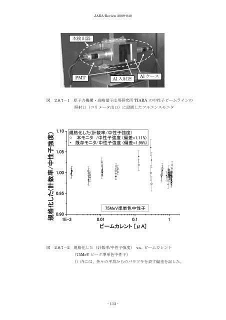 JAEA-Review-2009-040.pdf:4.65MB - 日本原子力研究開発機構