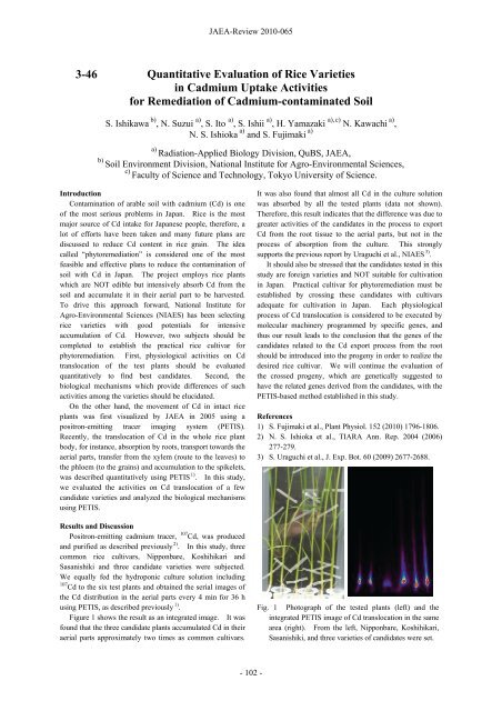 JAEA-Review-2010-065.pdf:15.99MB - 日本原子力研究開発機構