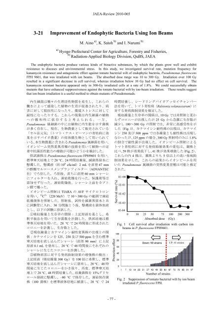 JAEA-Review-2010-065.pdf:15.99MB - 日本原子力研究開発機構