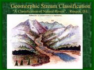Geomorphic Stream Classification - The Jornada