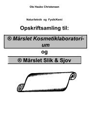 Kosmetikogslik - Sct. Mariæ Skole