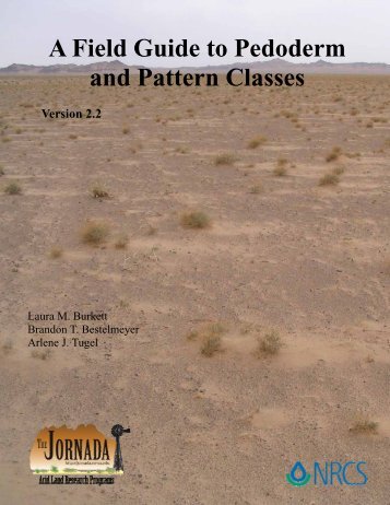 A Field Guide to Pedoderm and Pattern Classes - The Jornada