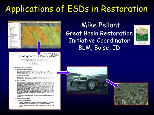 Applications of ESDs in Restoration