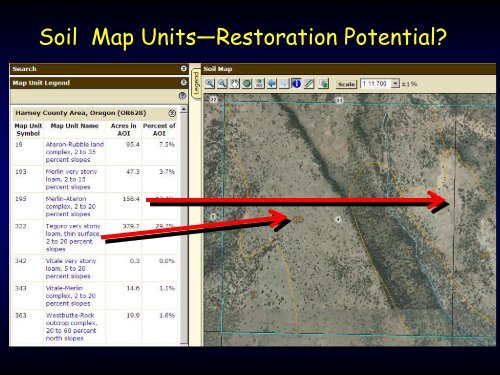 Applications of ESDs in Restoration