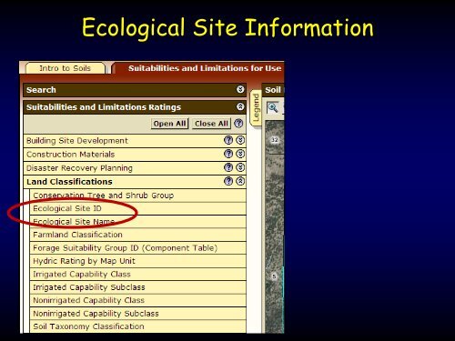 Applications of ESDs in Restoration