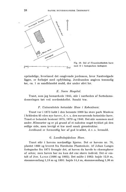 Volume 1,1 (1950) - Dansk Dendrologisk Forening