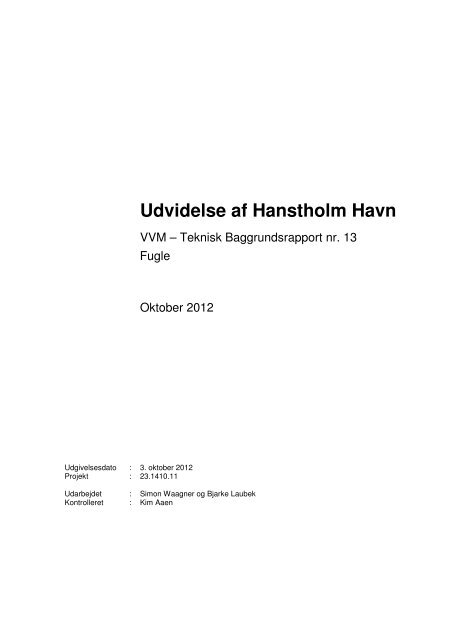 13 Baggrundsrapport Fugleundersøgelser - Thisted Kommune