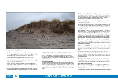 Rapporten “Liseleje Havn april 2013” - havn i Liseleje