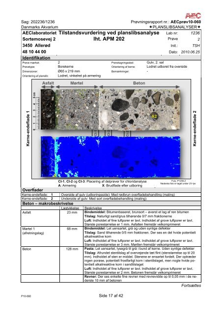 Bygningsundersøgelse af Arkitema - Moe og Brødsgaard.pdf