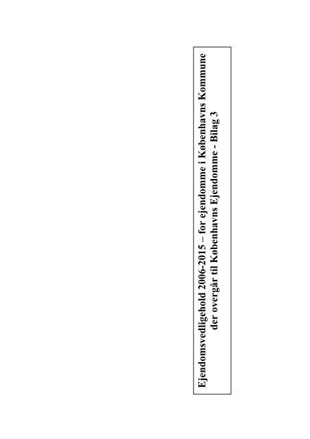 Forside til bilag til endelig rapport 2.6.2005 - Københavns Kommune