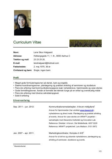 Curriculum Vitae - it-forum midtjylland
