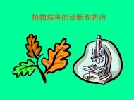 第十三章植物病害的诊断和防治