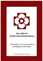 Nye vilkår for Konfirmationsforberedelsen - Teologisk Pædagogisk ...